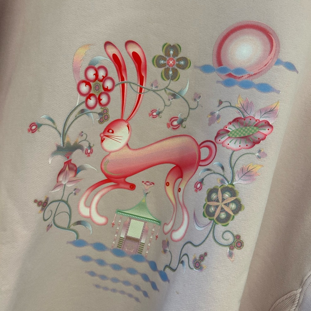 Aritzia TNA Year of the Rabbit Cozy Fleece Sweatshirt